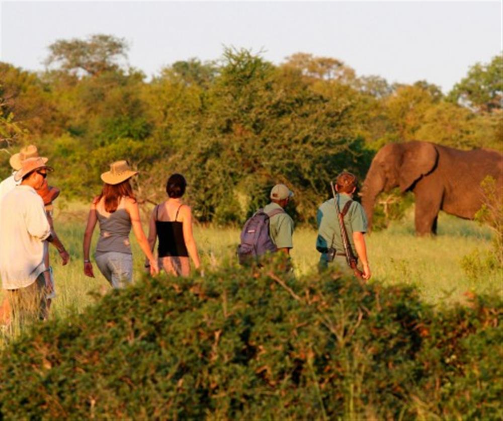 Rhino Post Walking Safaris